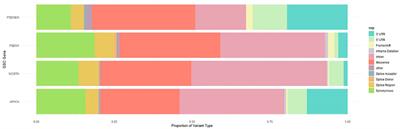 Interpreting the spectrum of gamma-secretase complex missense variation in the context of hidradenitis suppurativa—An in-silico study